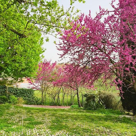 Il Parco Holiday - Locazione Turistica Fonte Nuova Luaran gambar