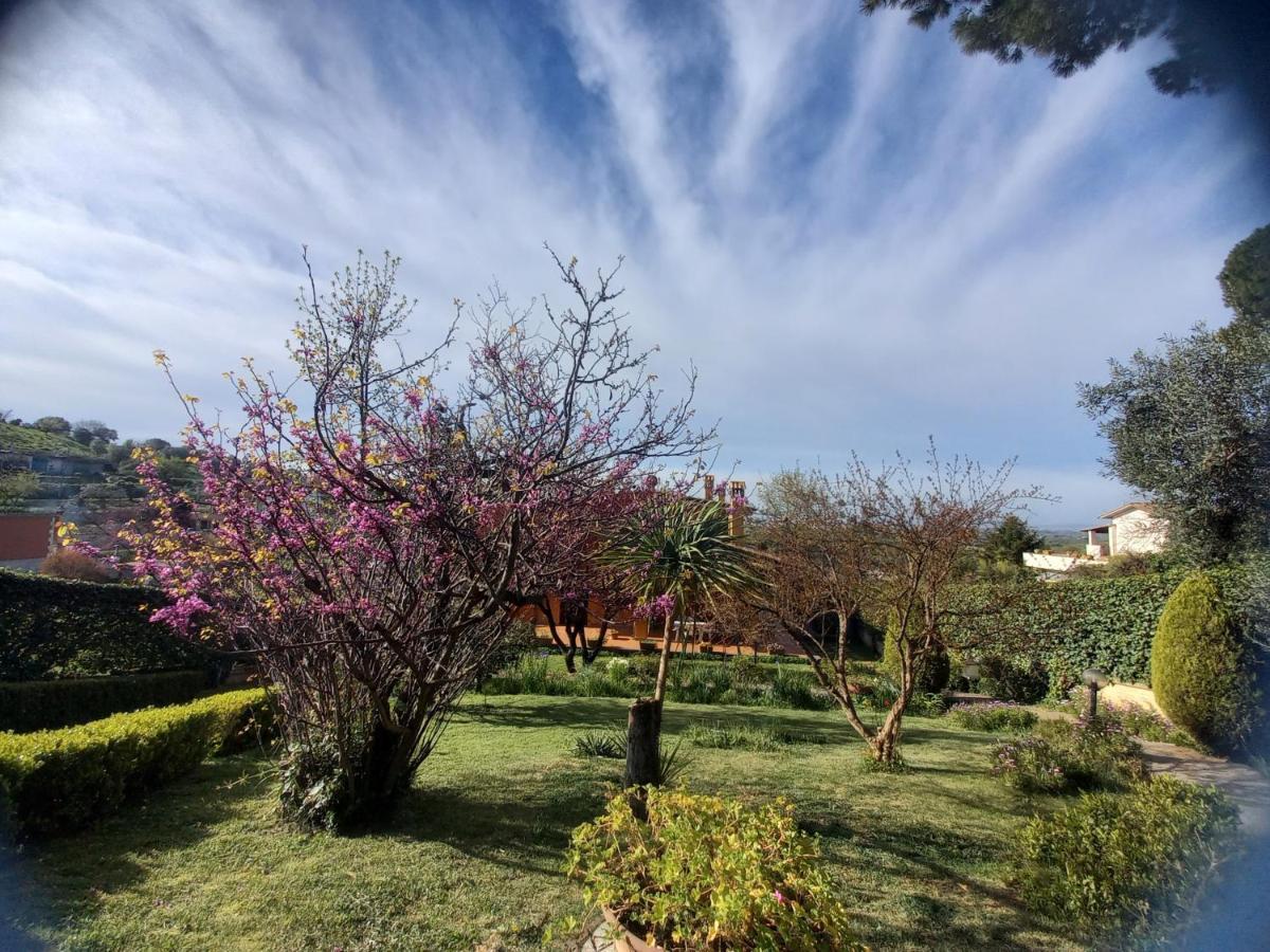 Il Parco Holiday - Locazione Turistica Fonte Nuova Luaran gambar